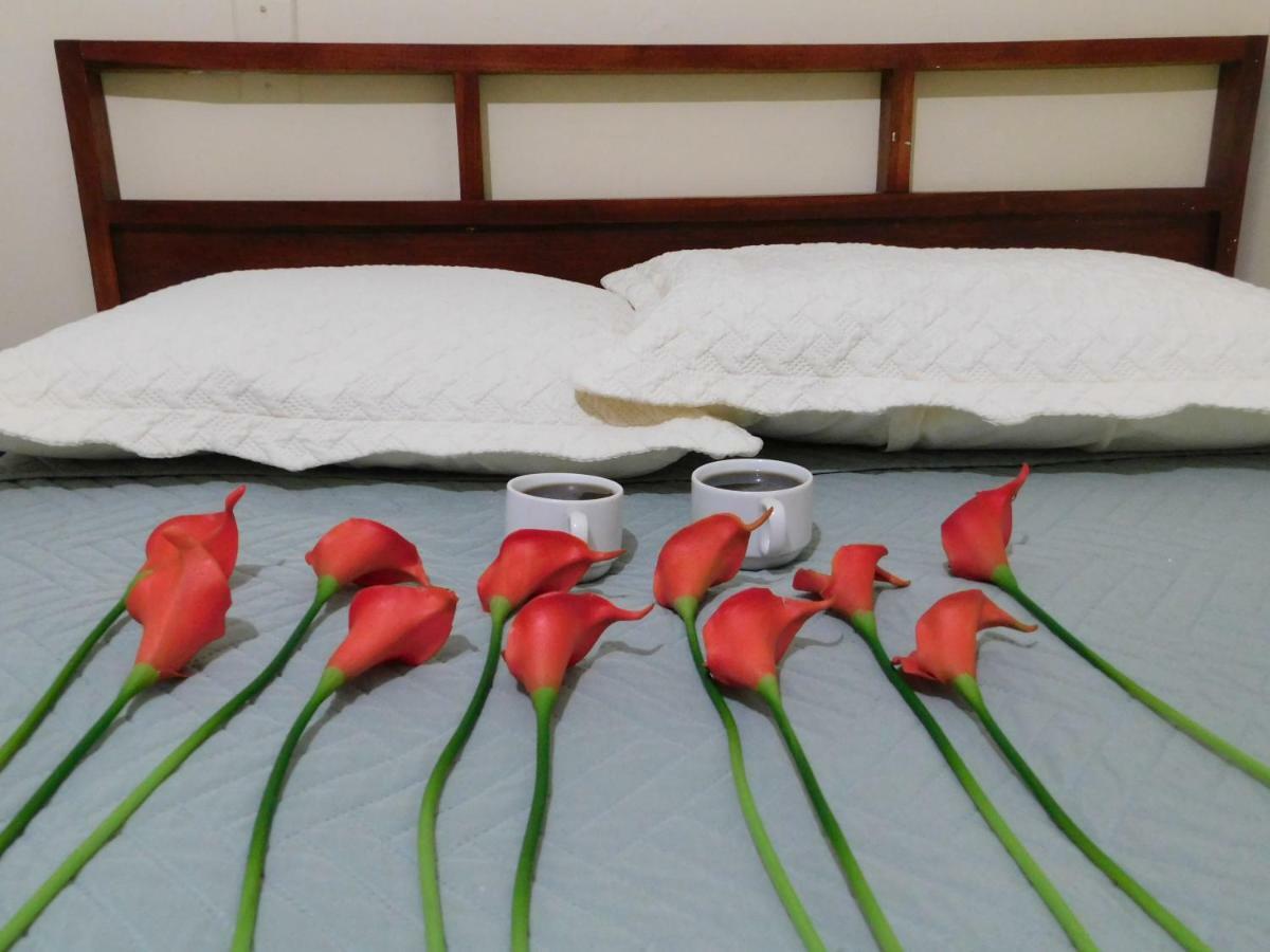 Hotel Meson De Maria Antiguo Cuscatlán المظهر الخارجي الصورة